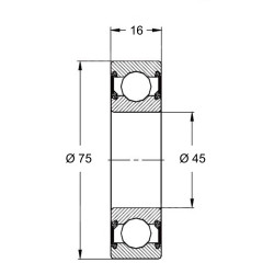 6009-2RS - Roulement à billes 45 x 75 x 16 mm